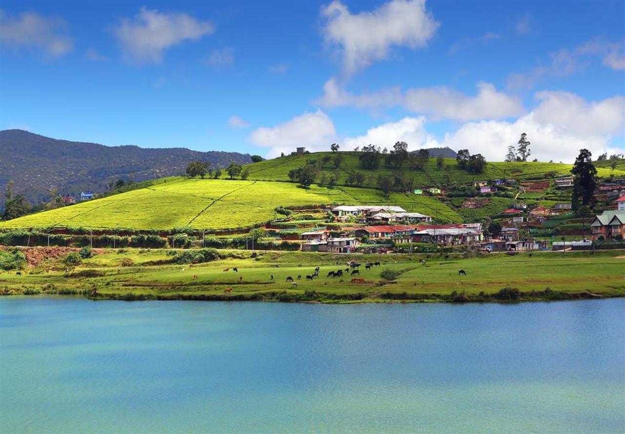 Hill View Bungalow Bed & Breakfast Nuwara Eliya Dış mekan fotoğraf